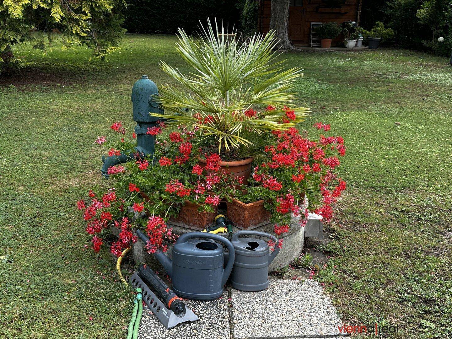 Dekorative Gartenanlage mit Blumen, einer Palme und Gießkannen neben einem Wasseranschluss.