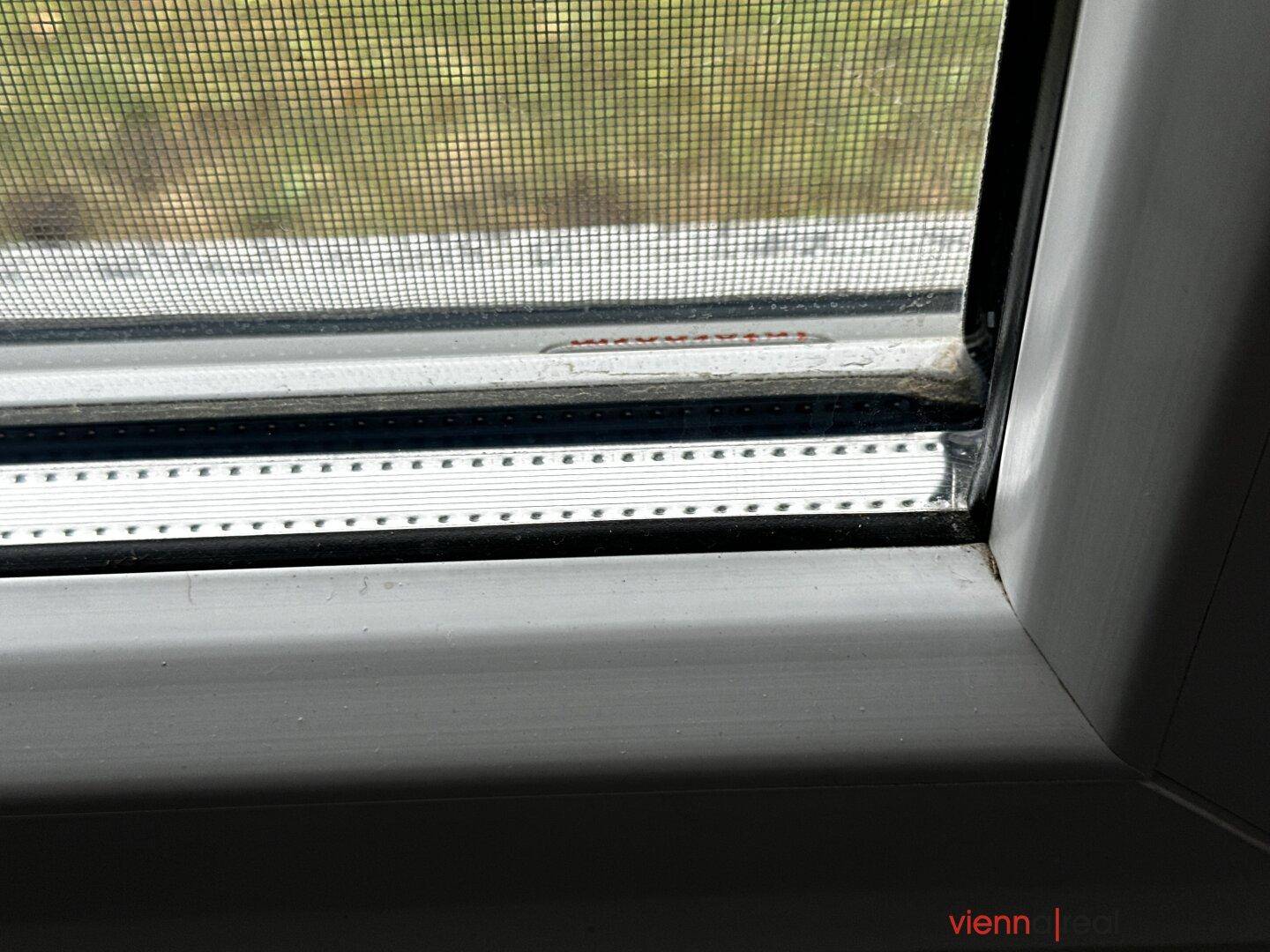 Nahaufnahme eines Fensters mit Fliegengitter und sauberem Rahmen.