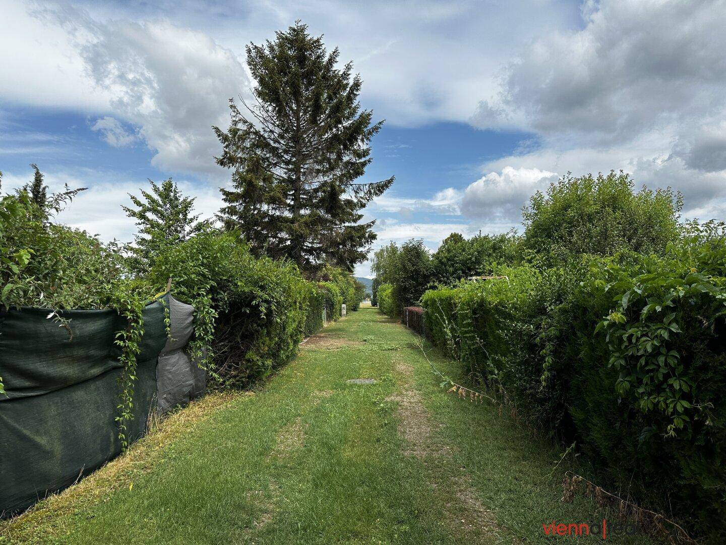 Langer, schmaler Weg durch einen grünen Garten, gesäumt von hohen Hecken und Bäumen.
