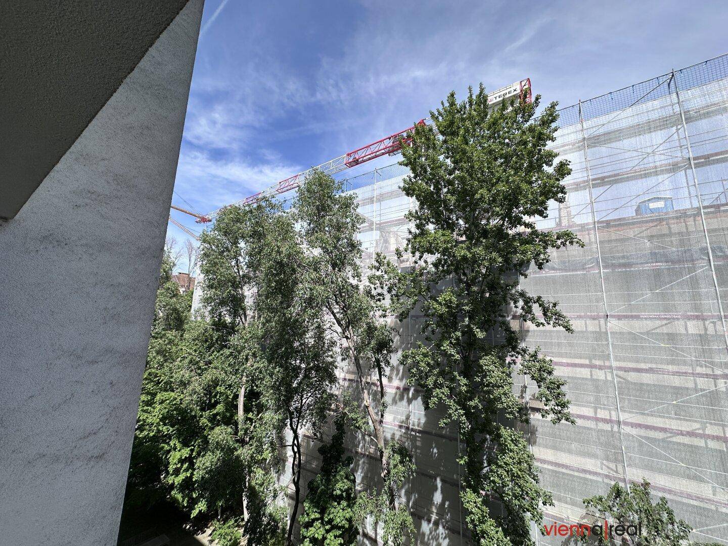 Blick von einem Balkon auf den blauen Himmel, Bäume und Baugerüste an Gebäuden.