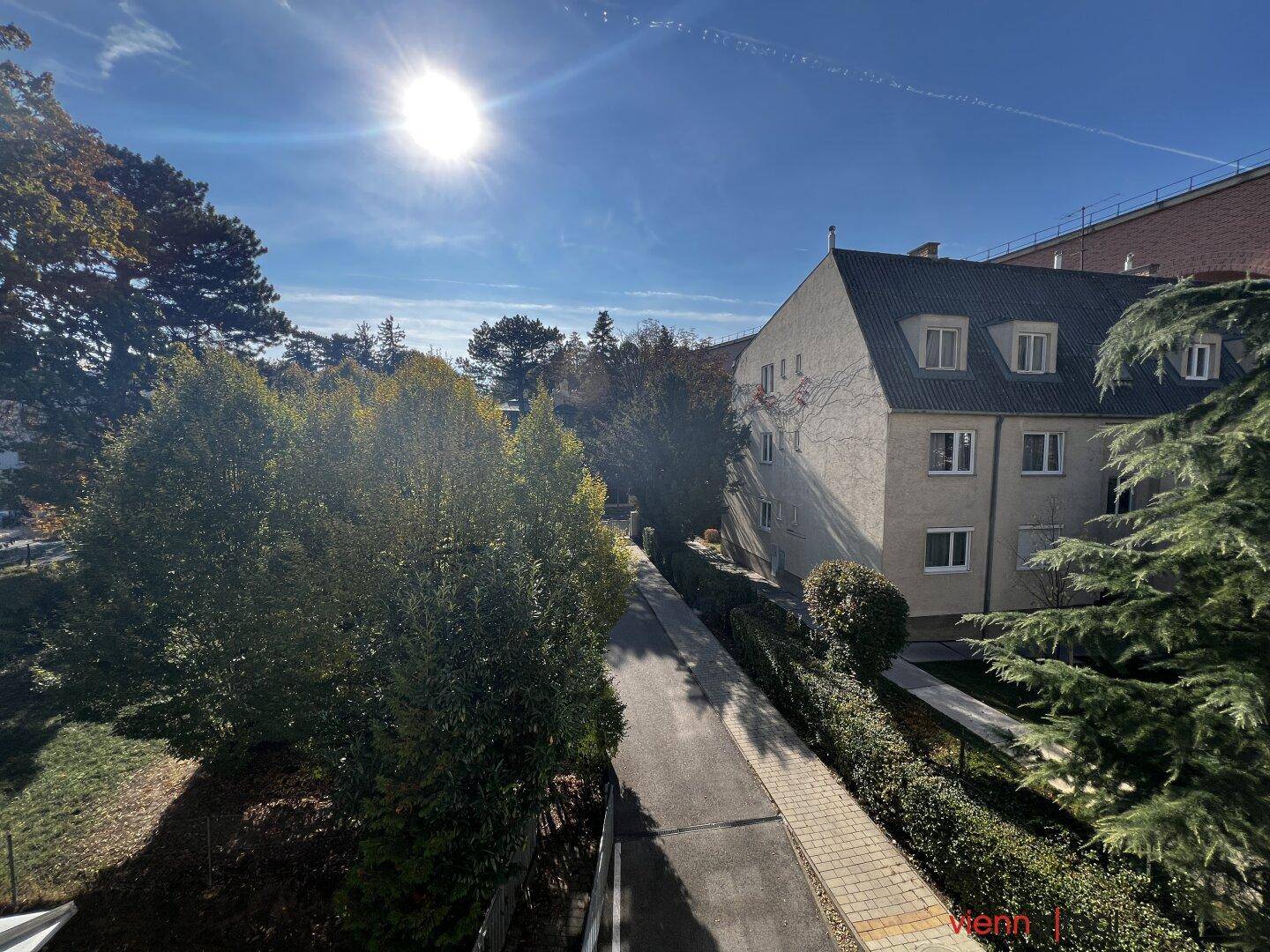 Sonniger Ausblick auf grüne Bäume und ein angrenzendes Gebäude unter blauem Himmel.