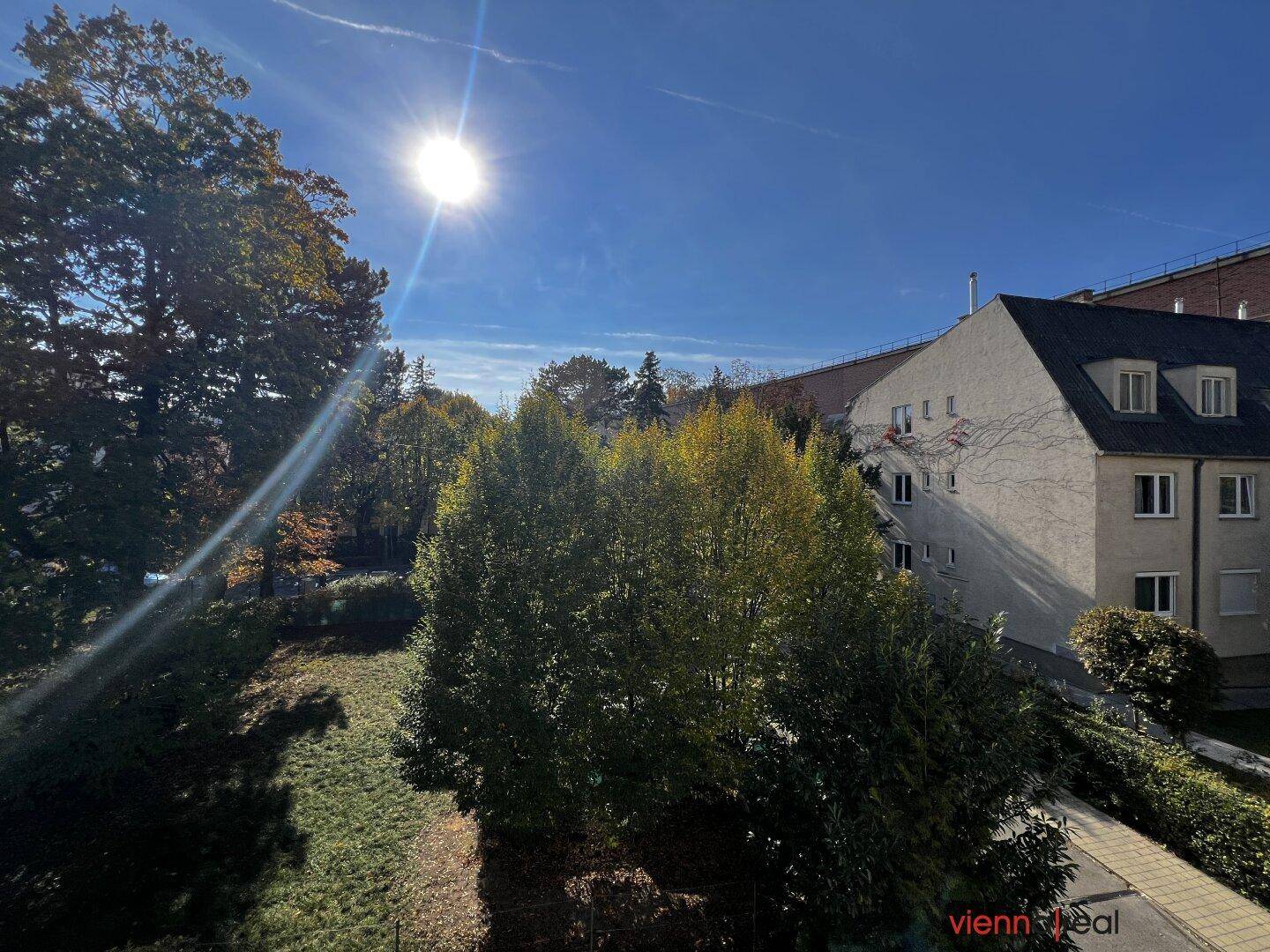 Weitläufiger Blick auf eine grüne Fläche und ein angrenzendes Gebäude an einem sonnigen Tag.
