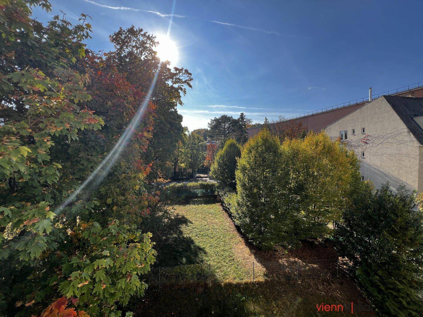 Sonniger Ausblick auf eine grüne Wiese und herbstliche Bäume unter blauem Himmel.