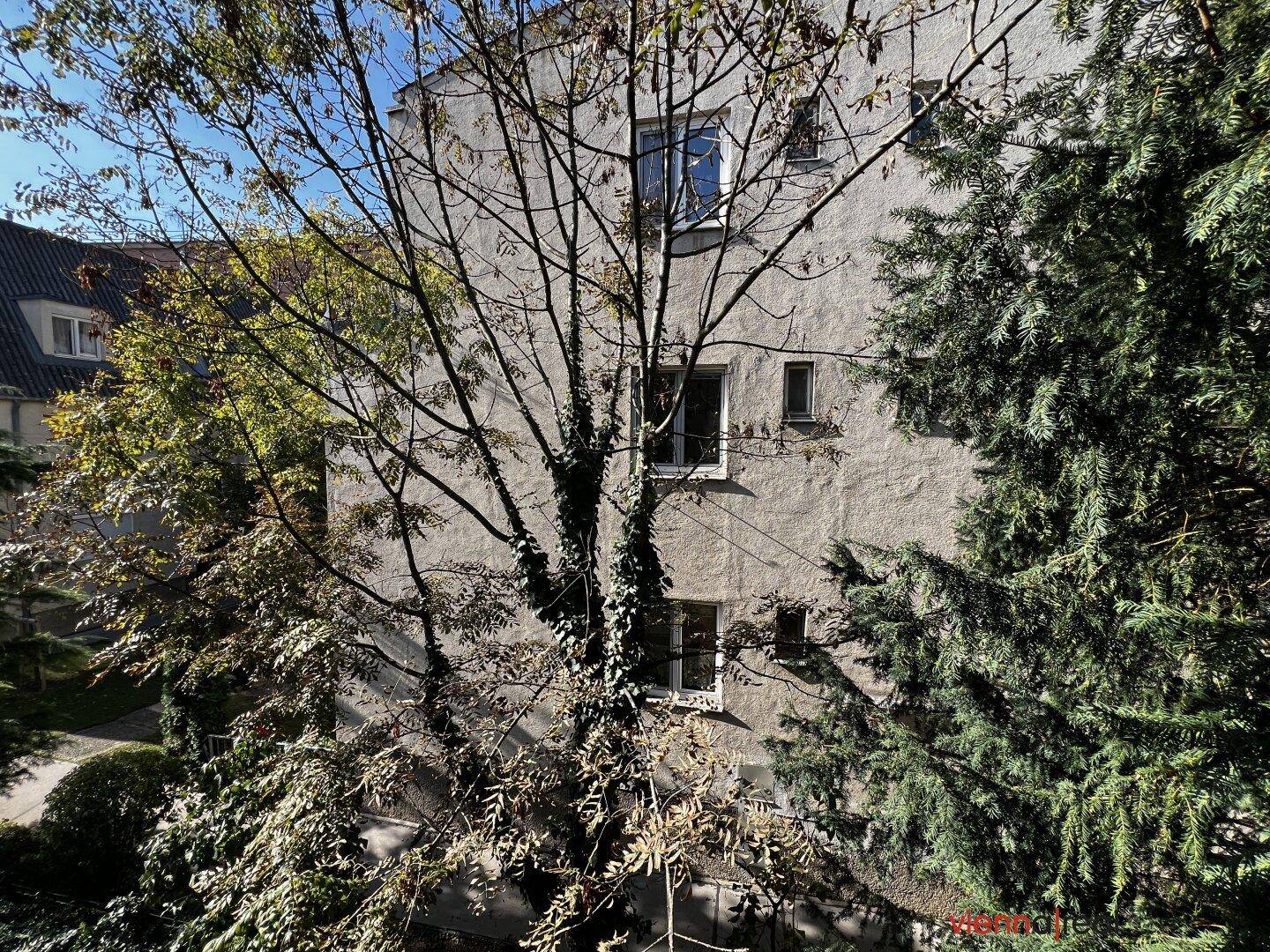Fassade eines Gebäudes, teilweise von Bäumen verdeckt, mit mehreren Fenstern.