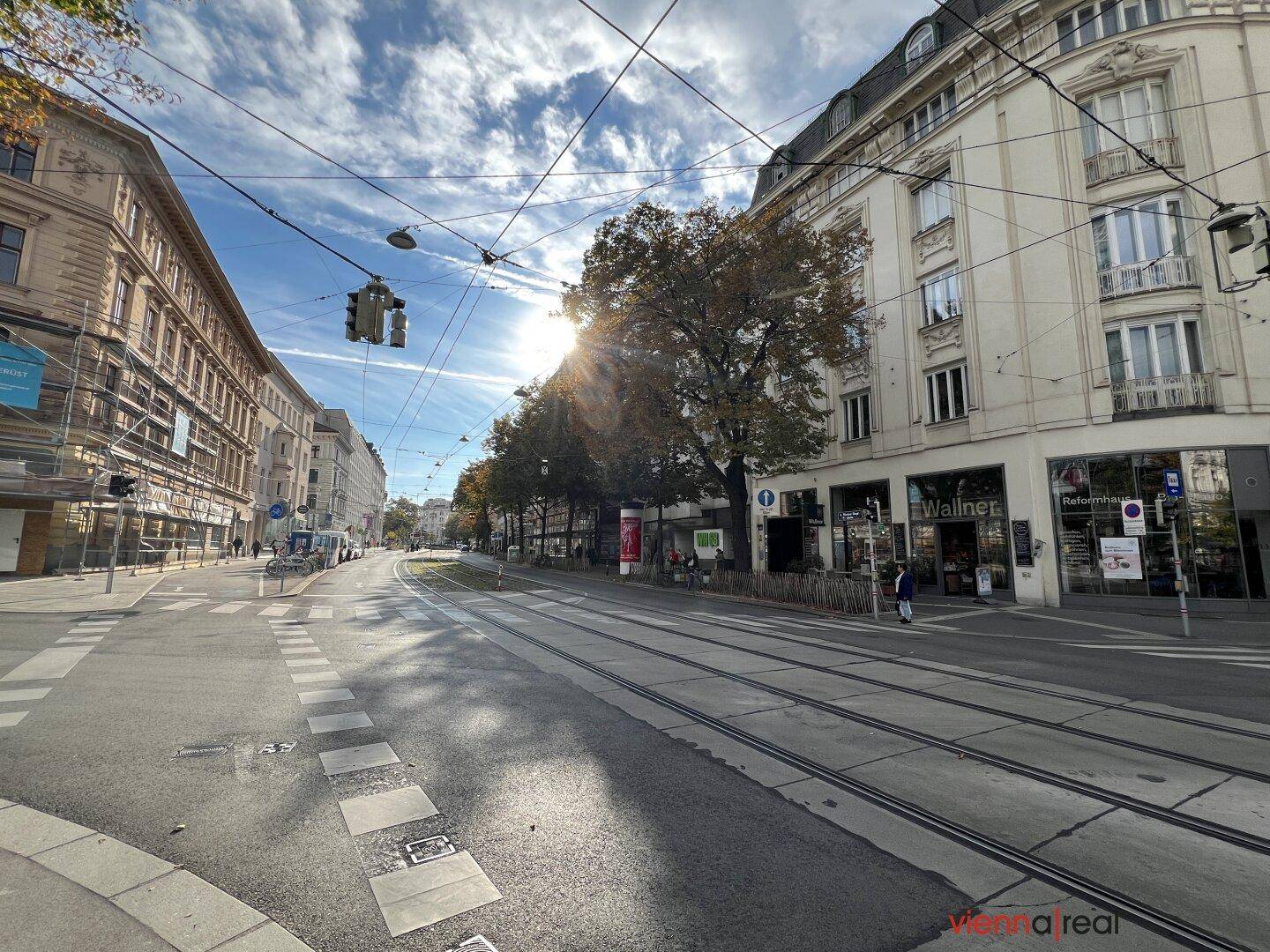 Stadtstraße mit Straßenbahnschienen, Gebäuden und Bäumen unter blauem Himmel.