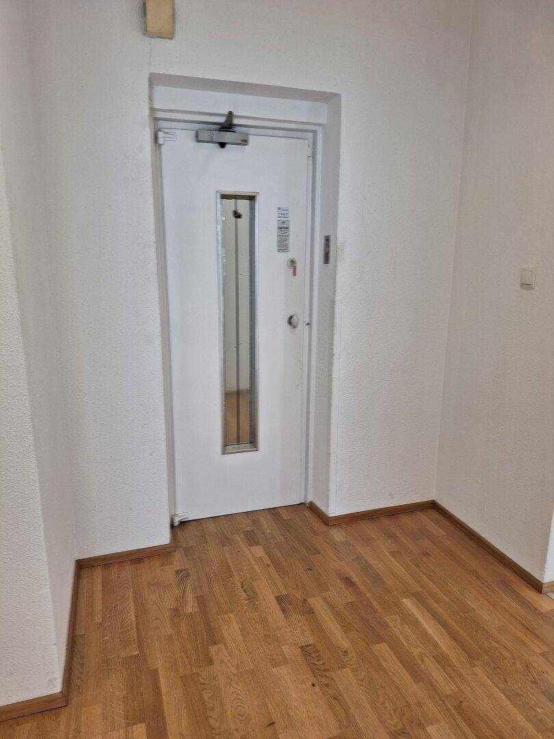 Flur mit einer Sicherheitstür, die ein schmales Fenster und einen Türschließer besitzt, in einem gepflegten Zustand.