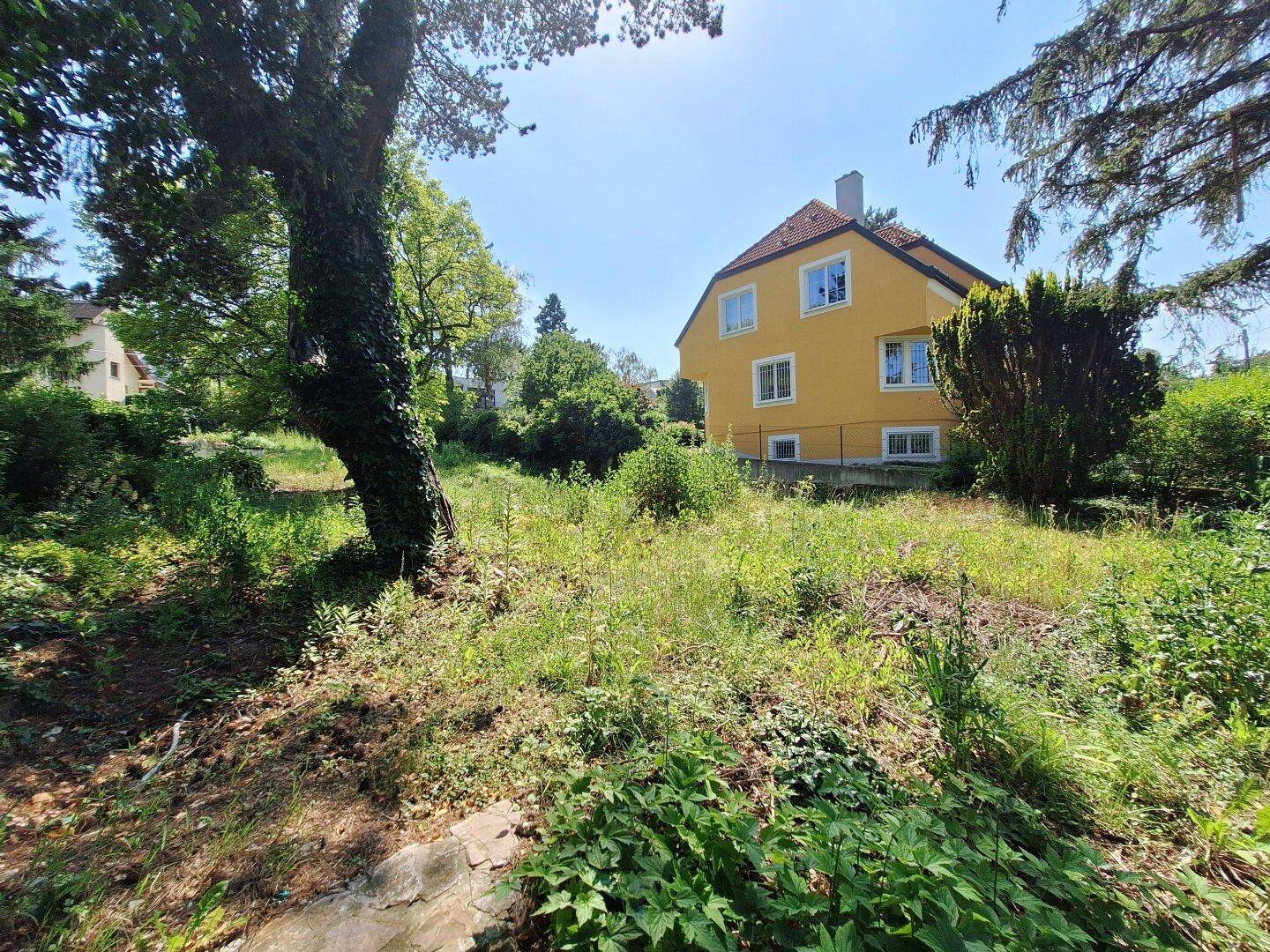 Sonniges, bewachsenes Grundstück mit altem Baum im Vordergrund und gelbem Haus im Hintergrund.