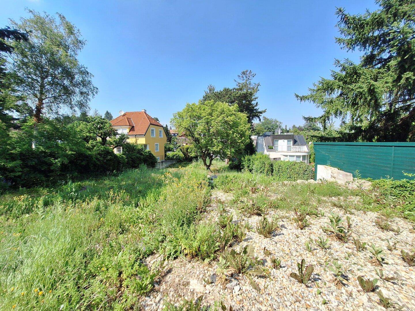 Weitläufiges, sonniges Grundstück mit Blick auf benachbarte Häuser und viel Grünfläche.