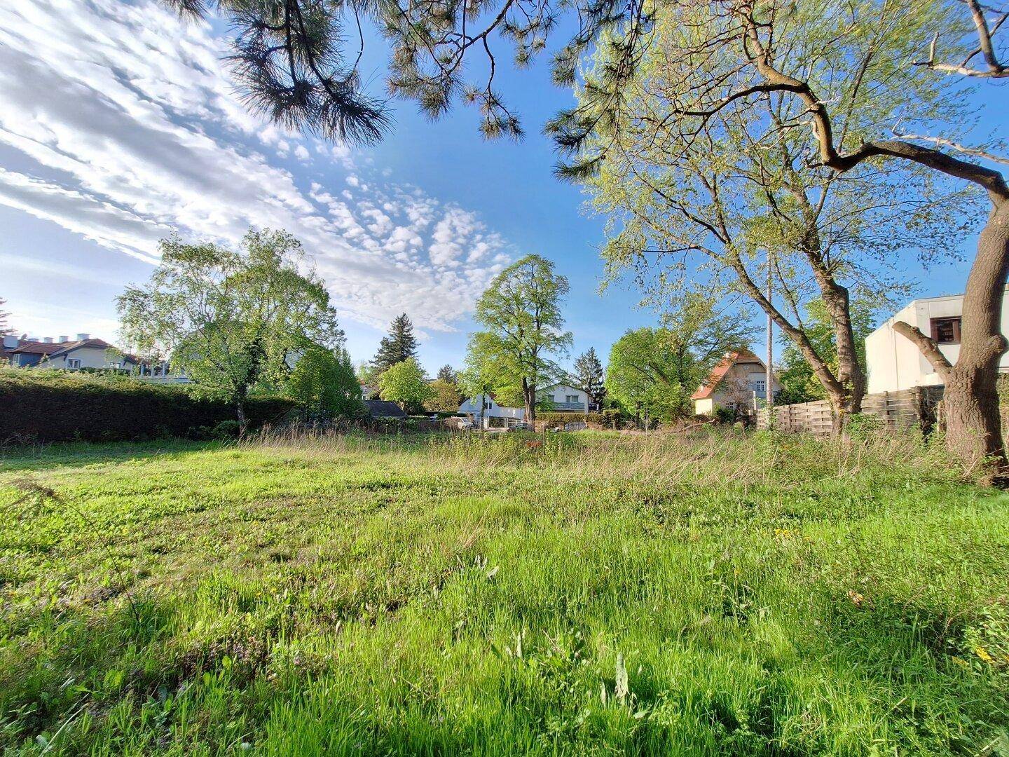 Offenes Grundstück mit Wiese und Blick auf umliegende Häuser in der Ferne.