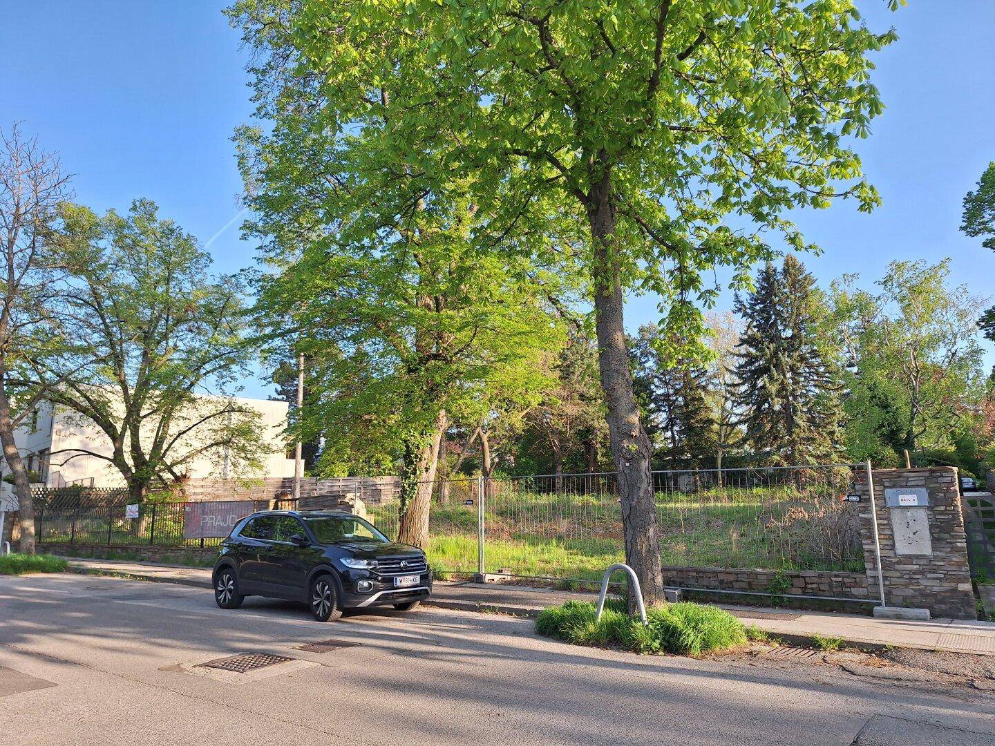 Blick von der Straße auf das Grundstück mit parkendem Auto und Bäumen.