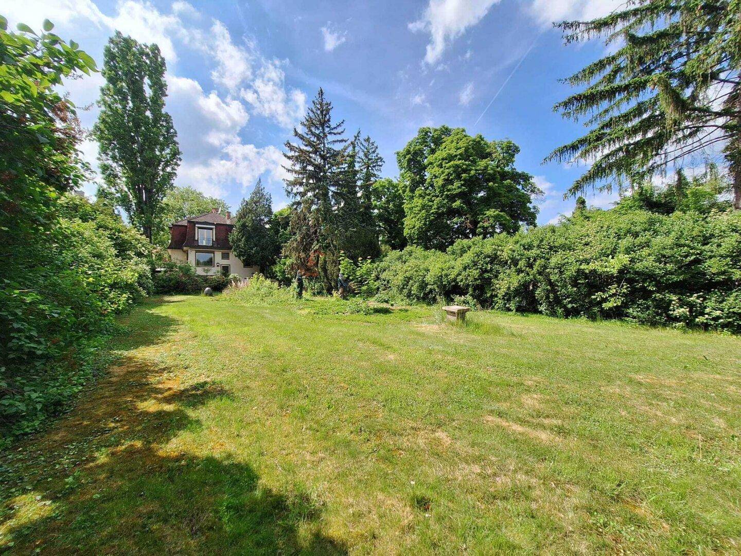 Große, offene Rasenfläche im Garten mit Blick auf das Haus und umgebende Bäume.