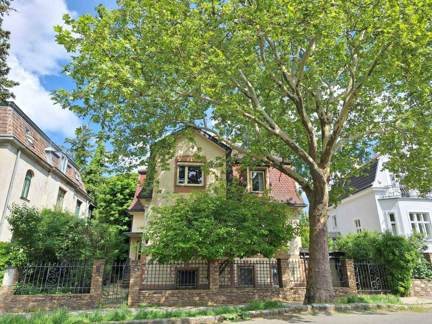 Vorderansicht des Hauses von der Straße aus, umgeben von einem Zaun und altem Baumbestand.