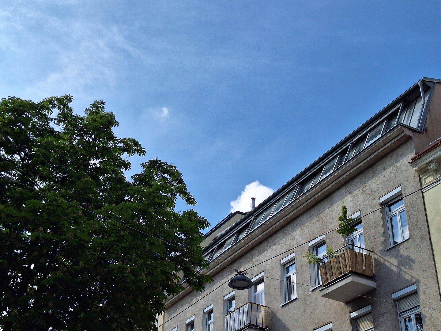 Fassade eines Mehrfamilienhauses mit Balkonen, Dachschrägenfenstern und altem Baumbestand.