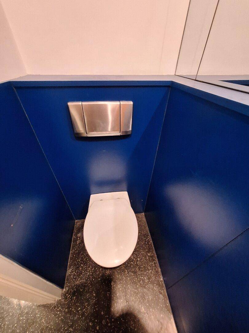 Kompakte Gästetoilette mit blauen Wänden und wandhängendem WC.