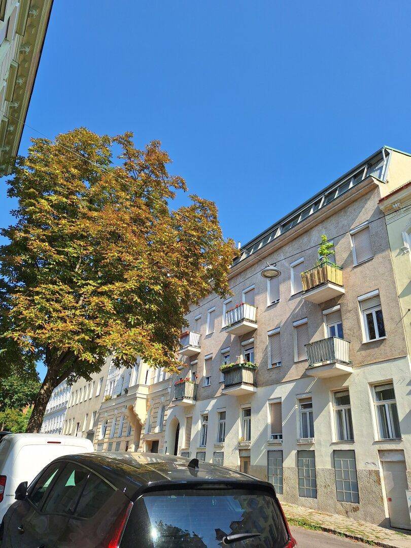 Straßenansicht eines Wohngebäudes mit Balkonen und einem großen Baum im Vordergrund.
