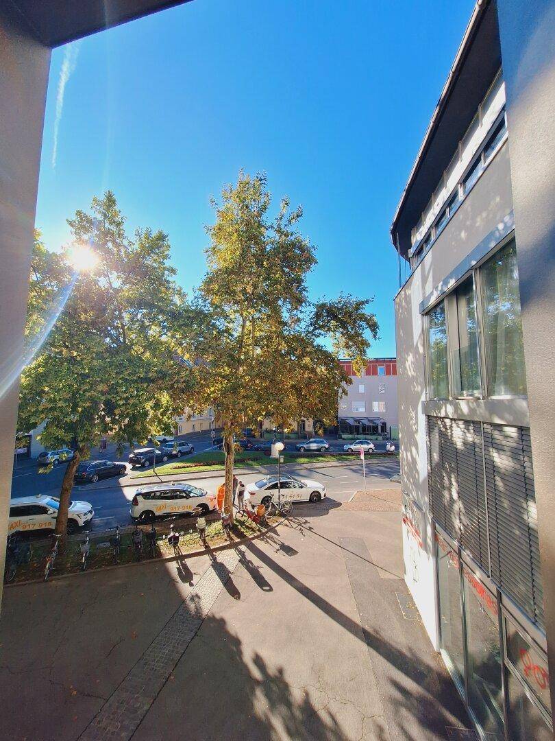 Sonniger Blick auf eine belebte Straße mit Bäumen und parkenden Autos von einem oberen Stockwerk.