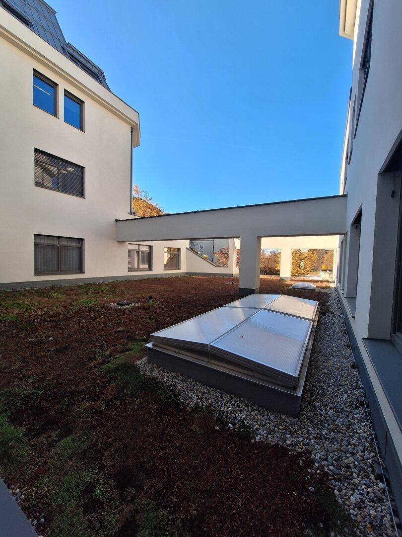 Grünfläche auf dem Dach mit Pflanzen, Kies und Oberlichtern, umgeben von den Fassaden eines modernen Gebäudes.