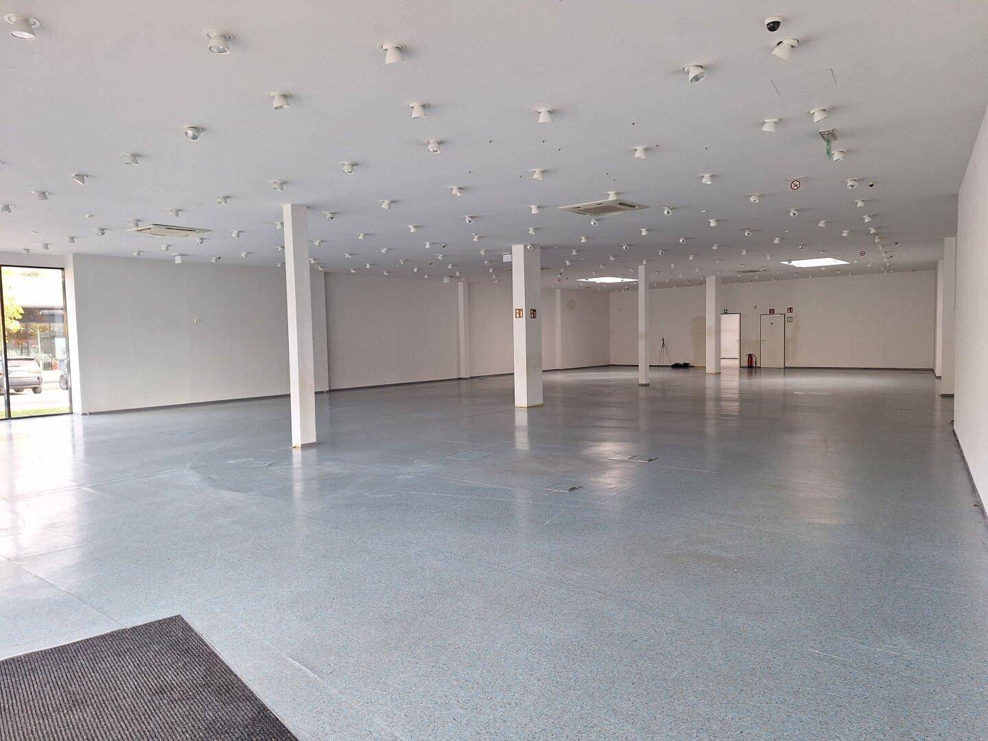 Weitläufiger, unmöblierter Gewerberaum mit großen Fenstern und Säulen, bereit für individuelle Gestaltung.