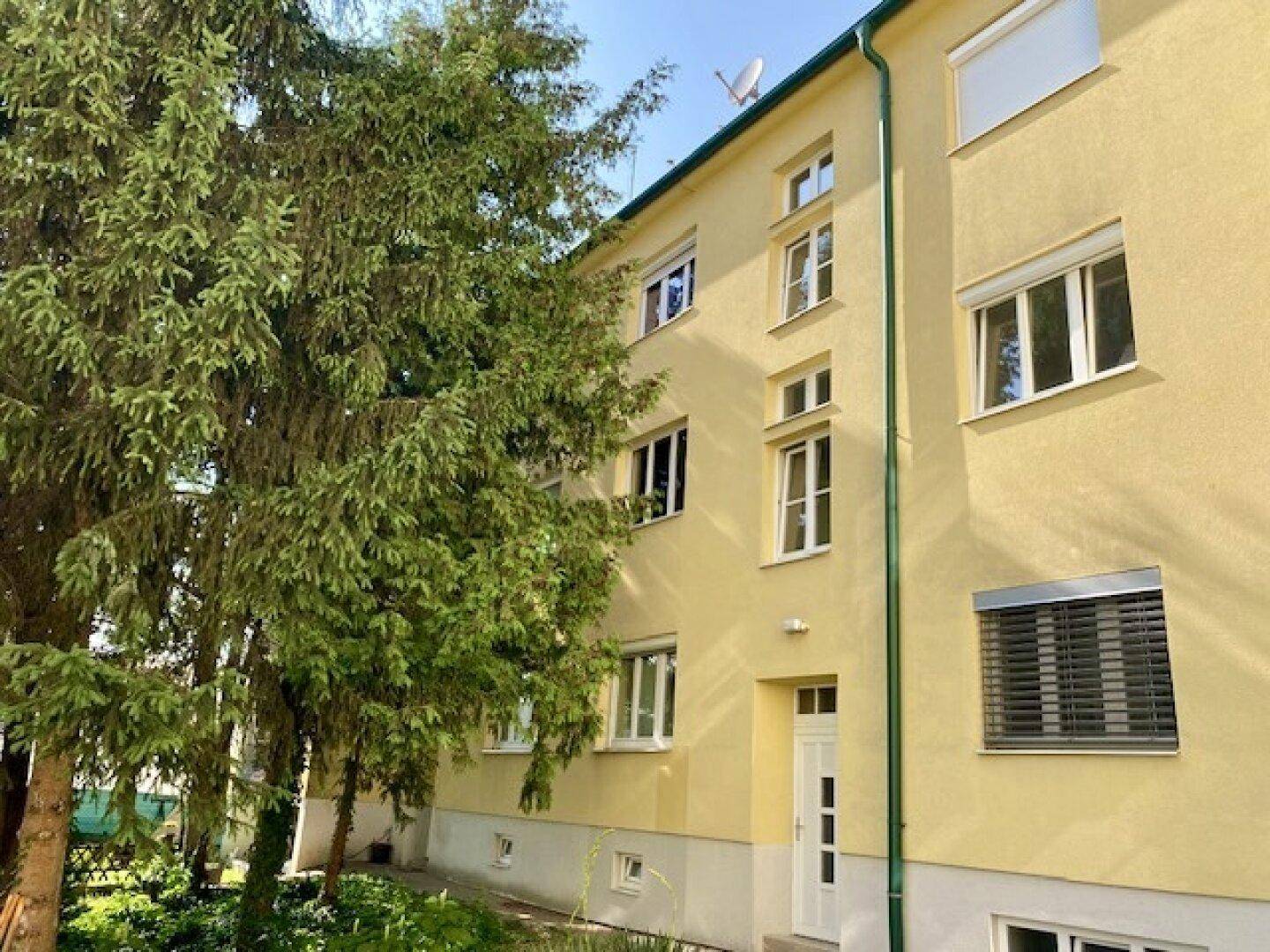 Haus gartenseitig