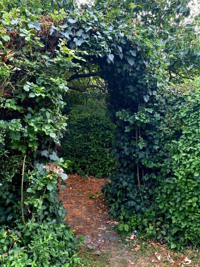 Verwunschener Gartenpfad, der durch einen natürlichen Bogen aus dichtem Grün führt.