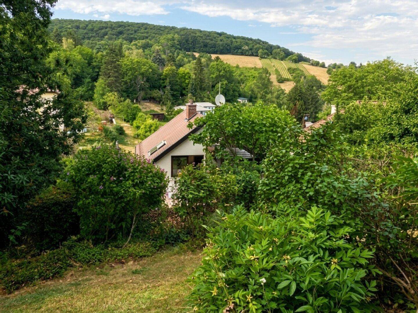Malerischer Blick auf ein Haus inmitten einer grünen Hügellandschaft mit Weinbergen im Hintergrund.