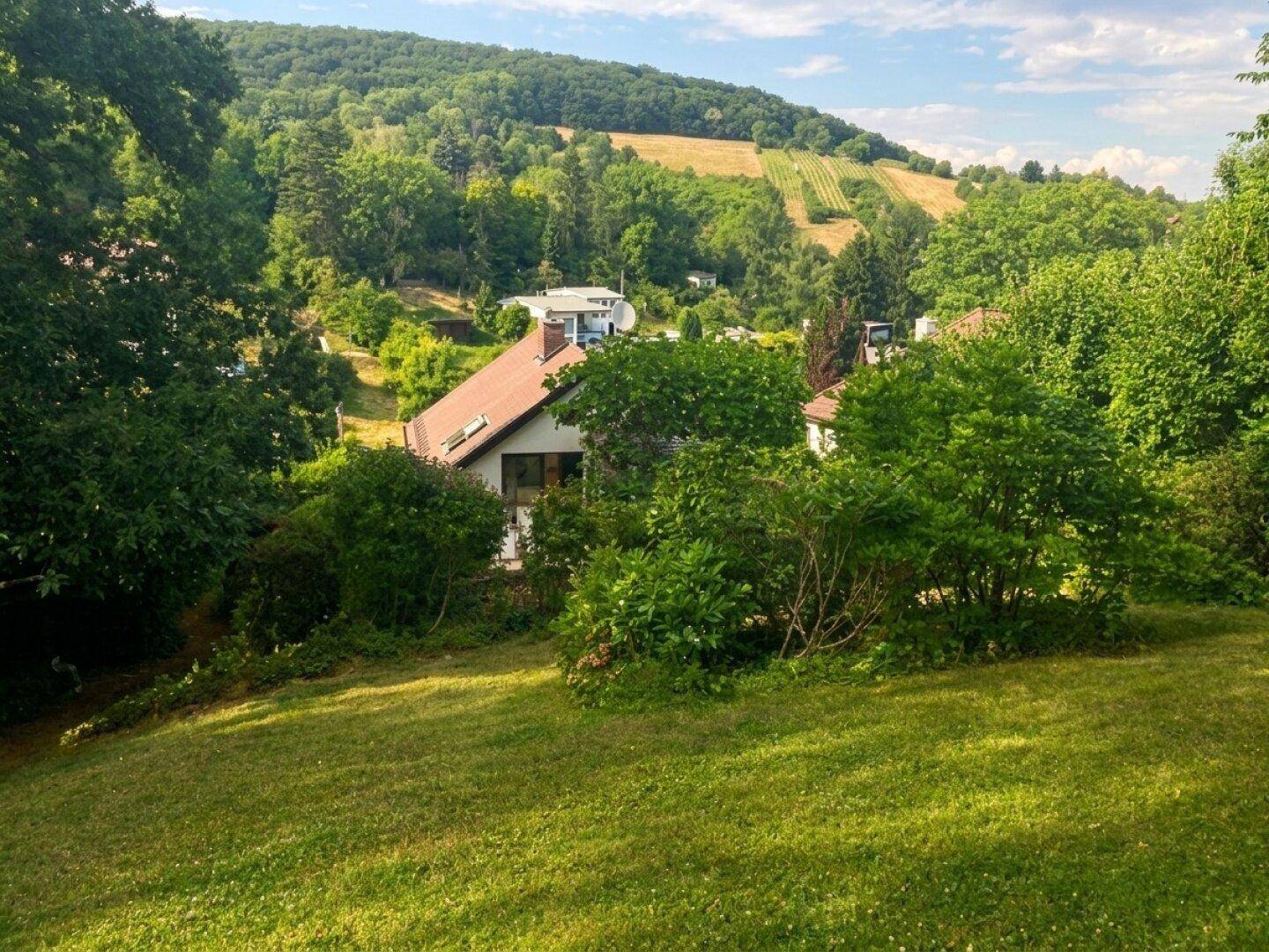 Malerischer Blick auf ein Haus inmitten einer grünen Hügellandschaft mit Weinbergen im Hintergrund.