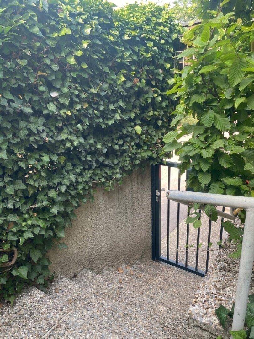 Treppe mit Geländer führt zu einem kleinen Tor, umgeben von dichtem Efeu und Grünpflanzen.
