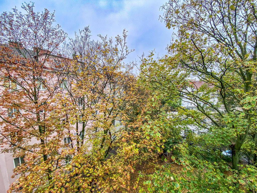Blick aus dem Fenster auf herbstliche Bäume und umliegende Gebäude in der Stadt.