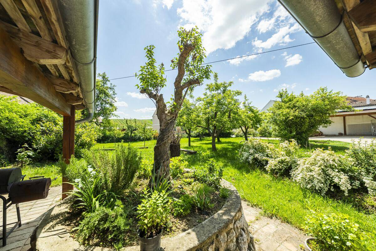 Blick auf den grünen Garten mit üppiger Bepflanzung und Bäumen von einer überdachten Terrasse.