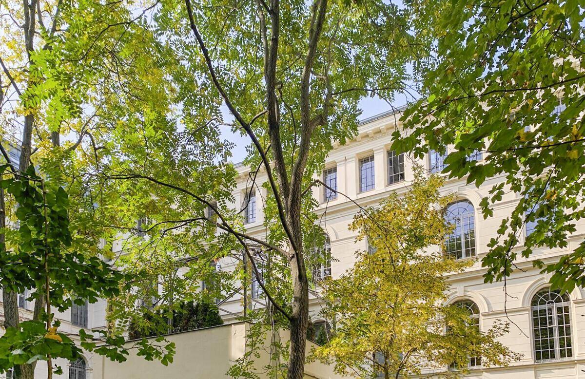 Historische Gebäudefassade umgeben von grünen Bäumen und Laub im Herbst.