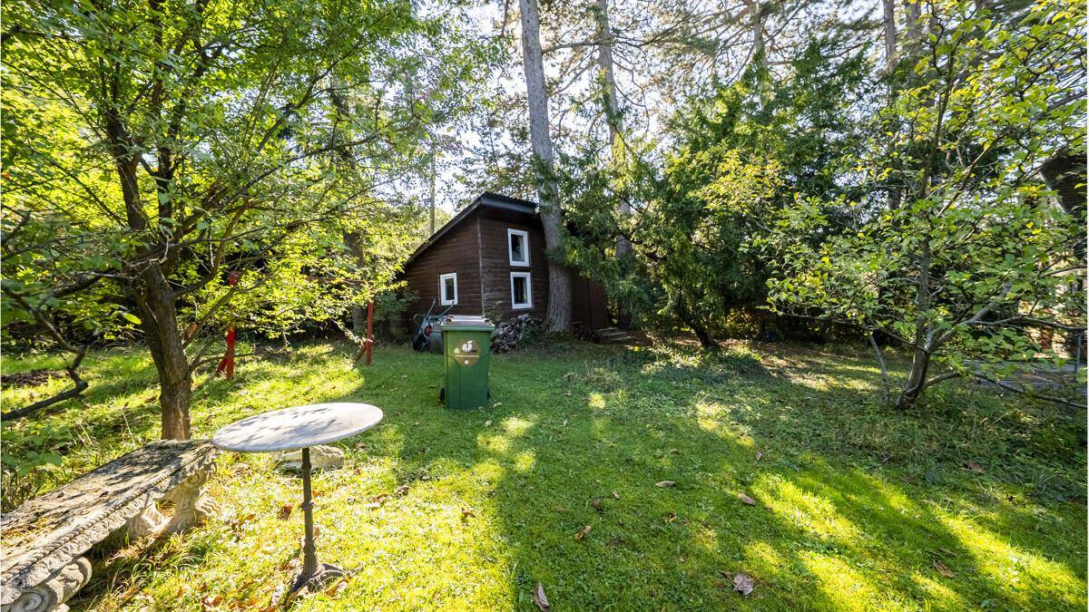 Naturbelassener Gartenbereich mit einer kleinen Holzhütte, umgeben von Bäumen und Grünflächen.