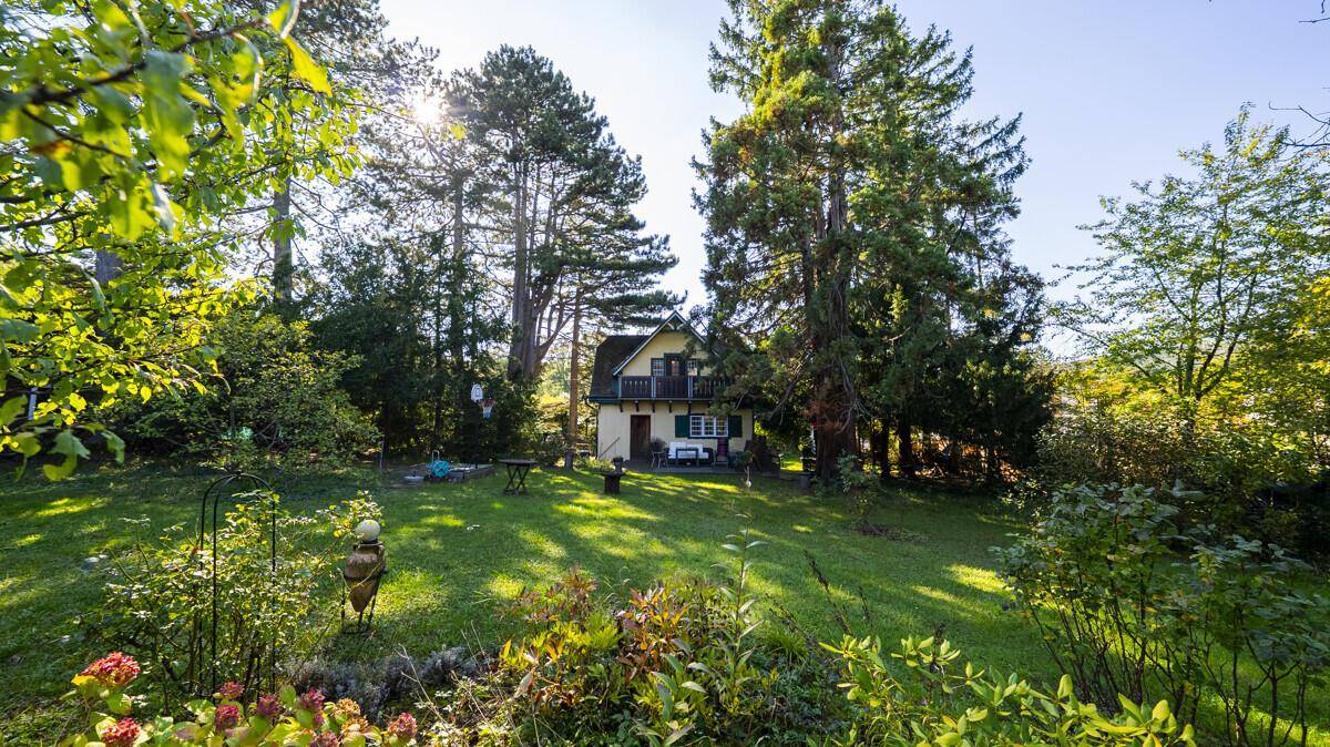 Weitläufiger Garten mit sonnigen Rasenflächen und altem Baumbestand, der zum Verweilen einlädt.