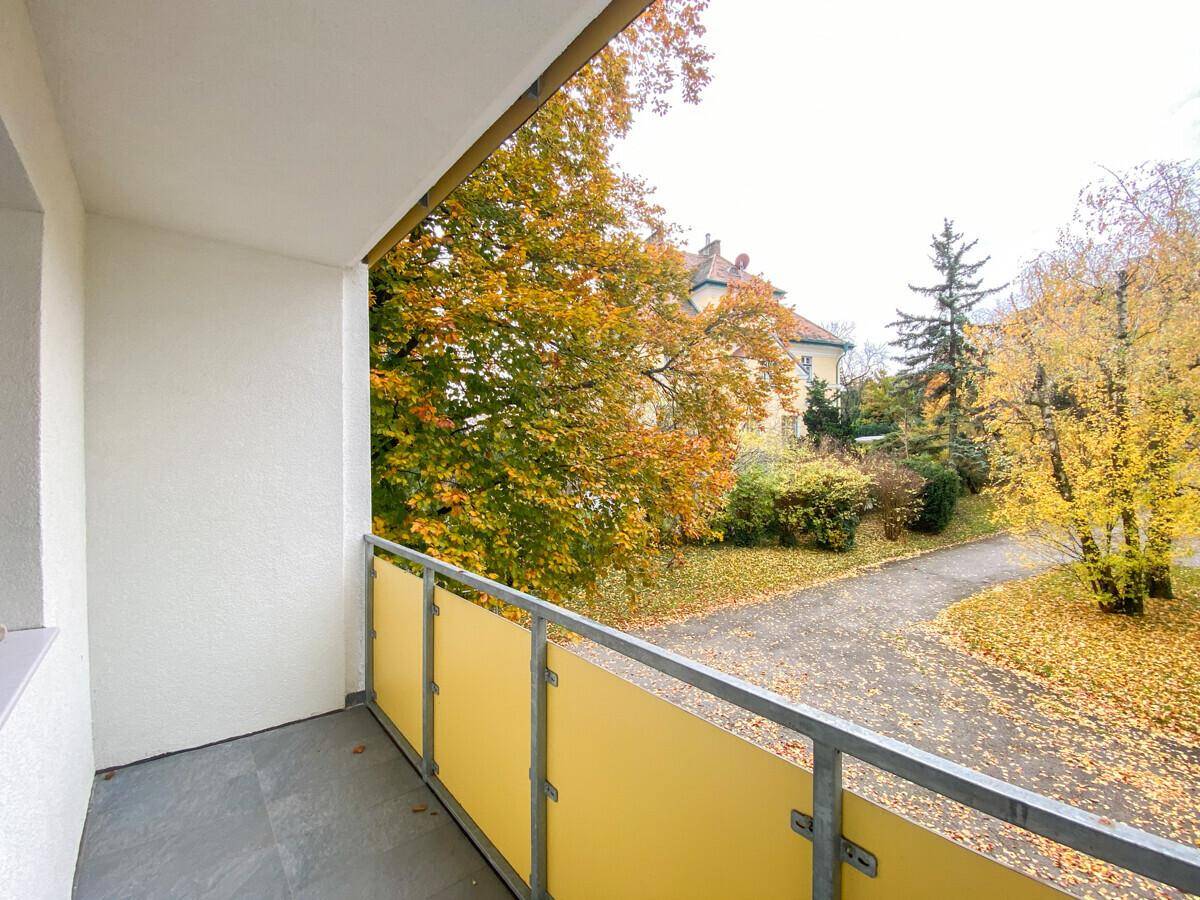 Balkon mit gelben Glaspaneelen und Blick auf herbstliche Bäume und die Umgebung.