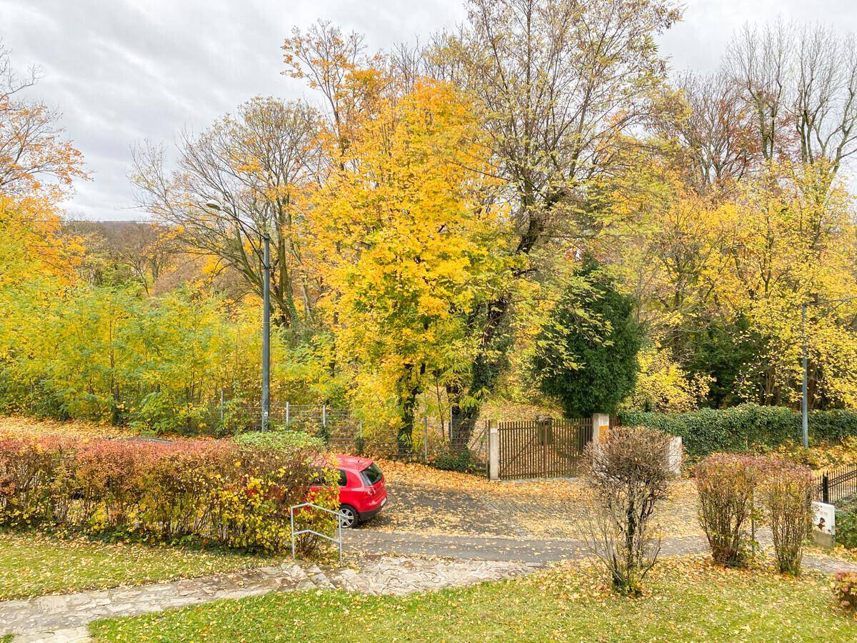 Weitläufiger Blick auf eine grüne Umgebung mit herbstlichen Bäumen und einem roten Auto.