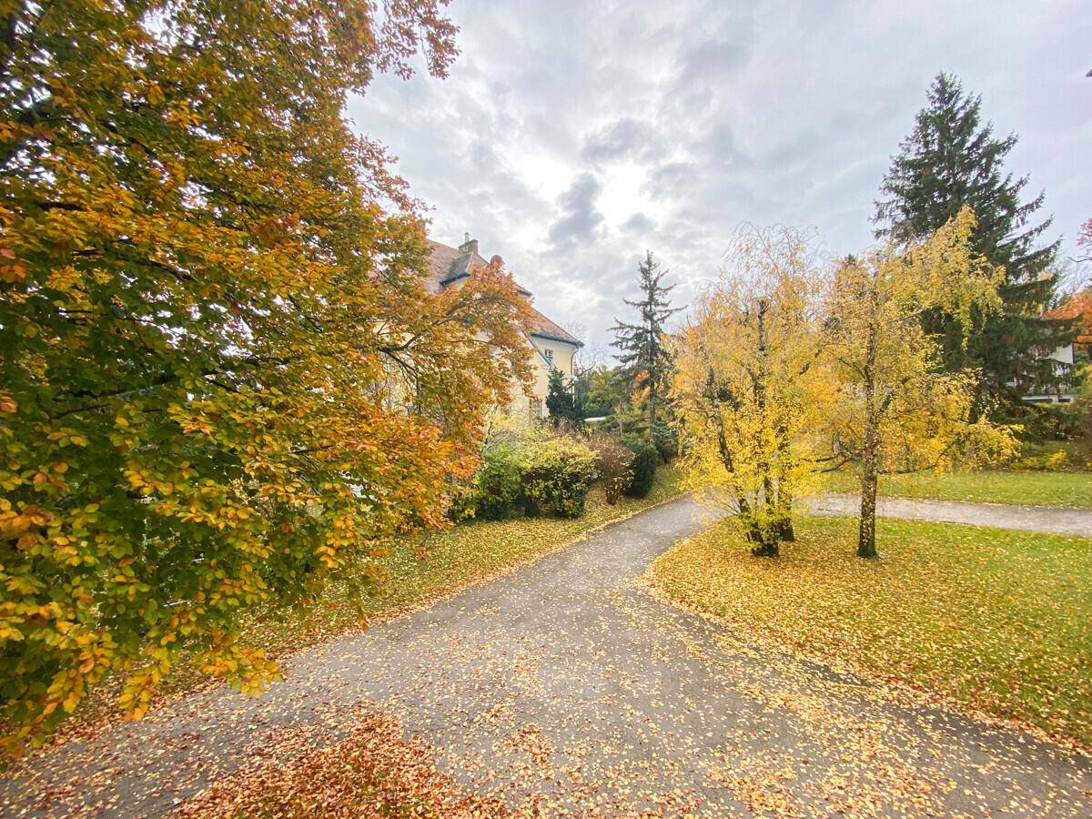 Malerischer Blick auf eine von herbstlichen Bäumen gesäumte Auffahrt und ein Gebäude im Hintergrund.