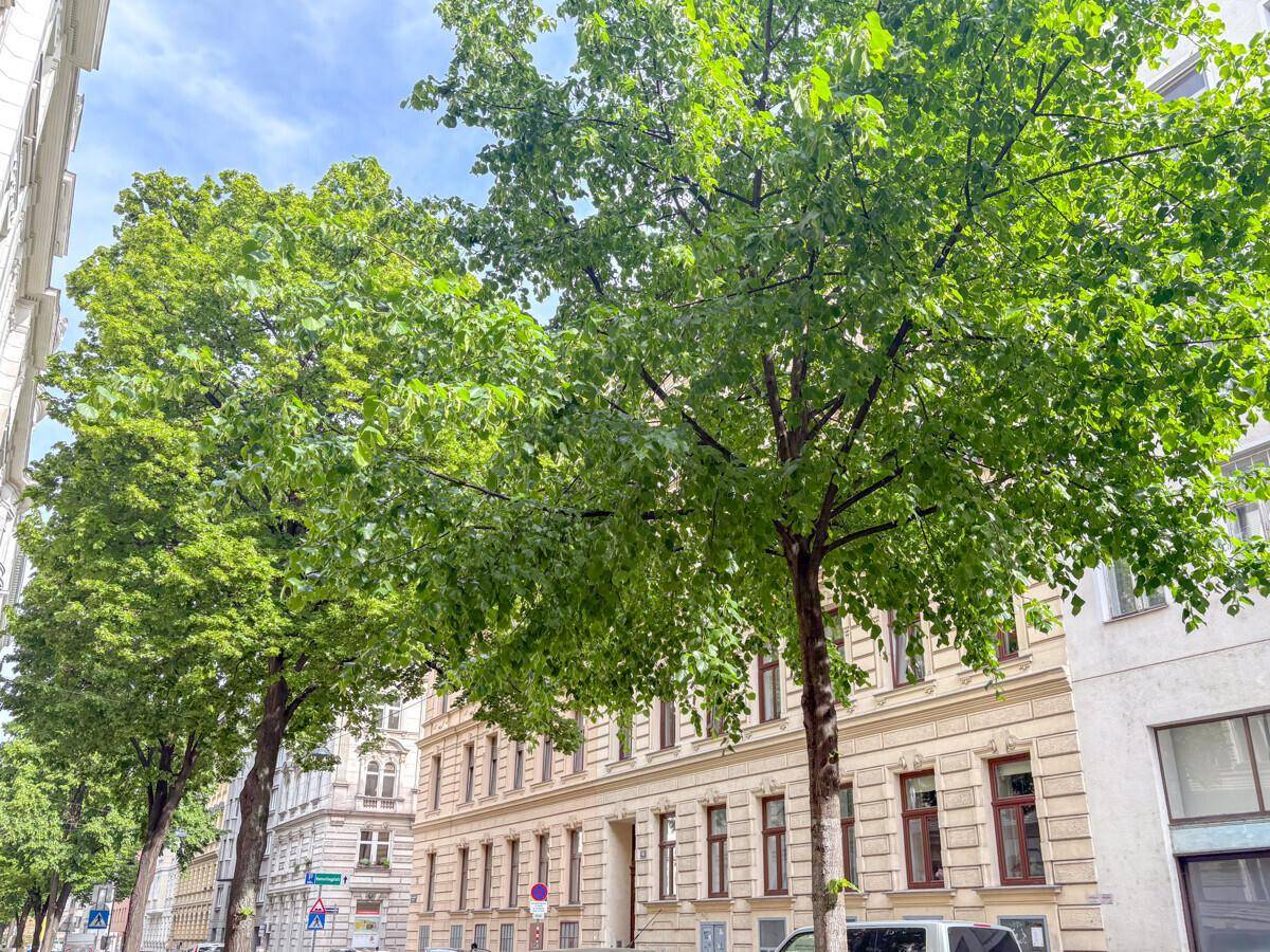 Historische Gebäude entlang einer grünen Straße mit Bäumen und klassischer Architektur.