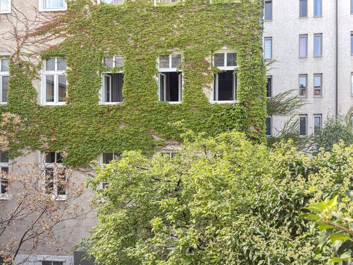 Gebäudefassade mit üppigem Efeu bewachsen, umgeben von Bäumen und Grünflächen.