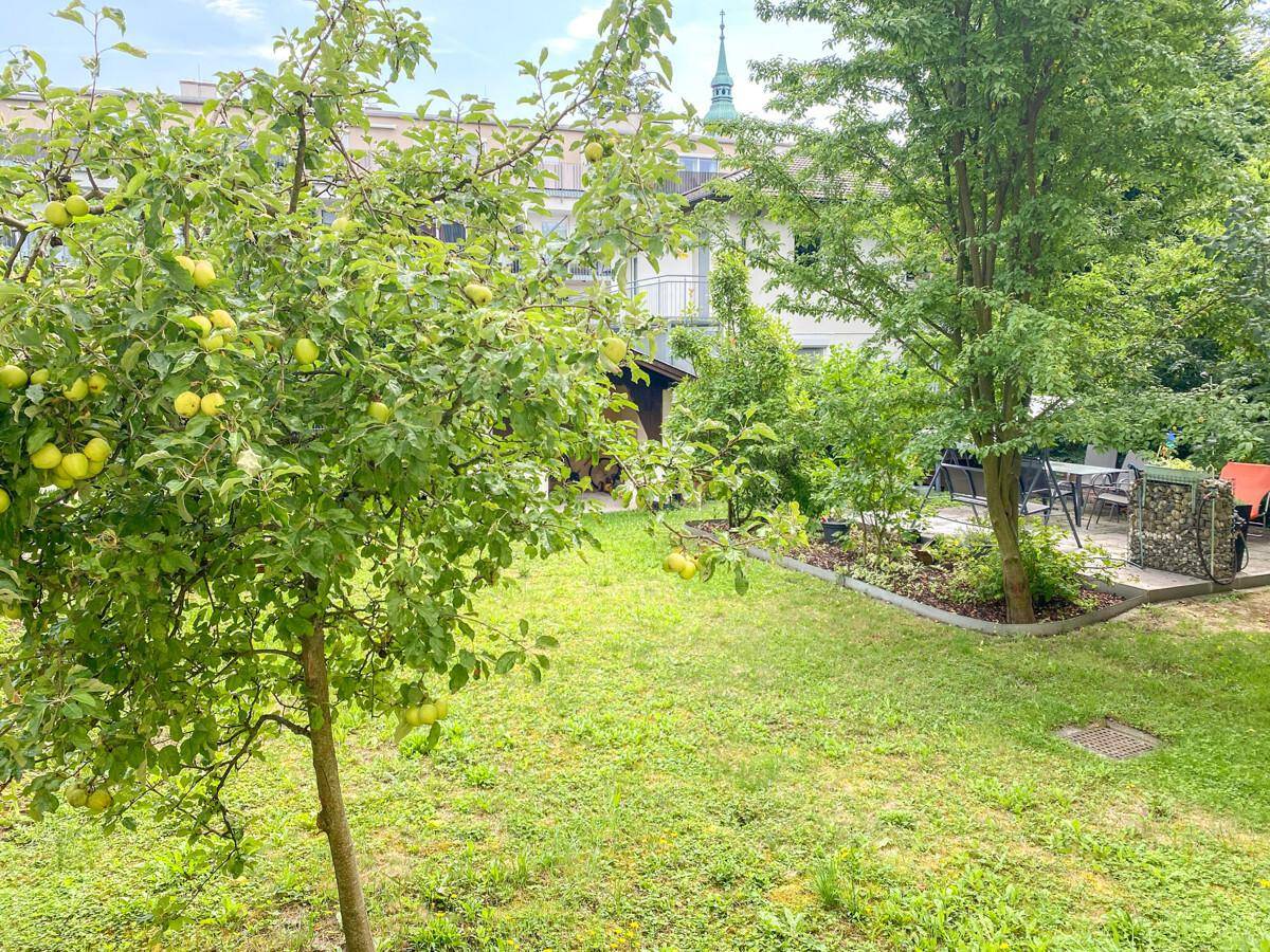 Grüner Garten mit Obstbaum, Gartenhaus und Sitzbereich im Hintergrund, mit Blick auf eine Kirchturmspitze.
