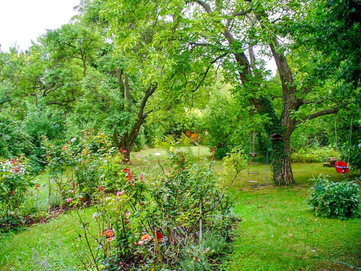 Großer, grüner Garten mit altem Baumbestand, Schaukel und viel Platz zum Spielen.
