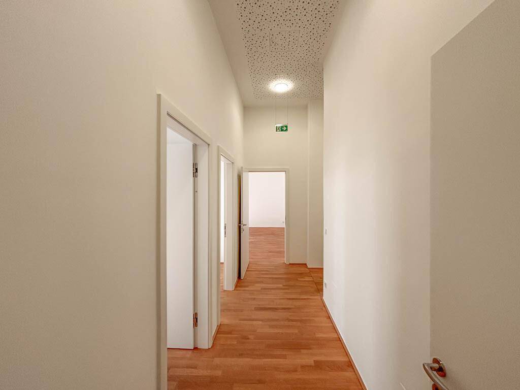 Repräsentatives Büro im prachtvollen Palais Schwab - Mehr