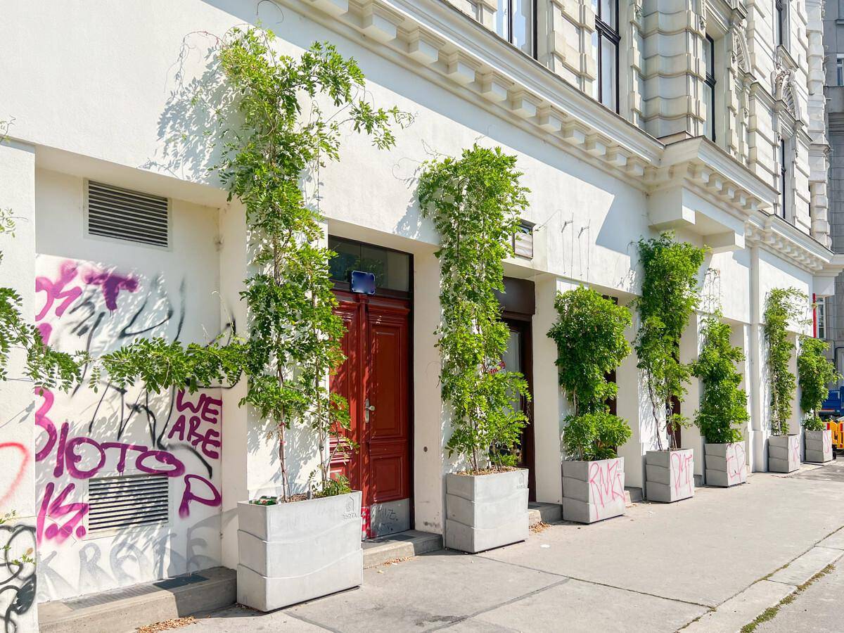 Fassade eines Gebäudes mit Graffiti, roten Türen und begrünten Pflanzkübeln.