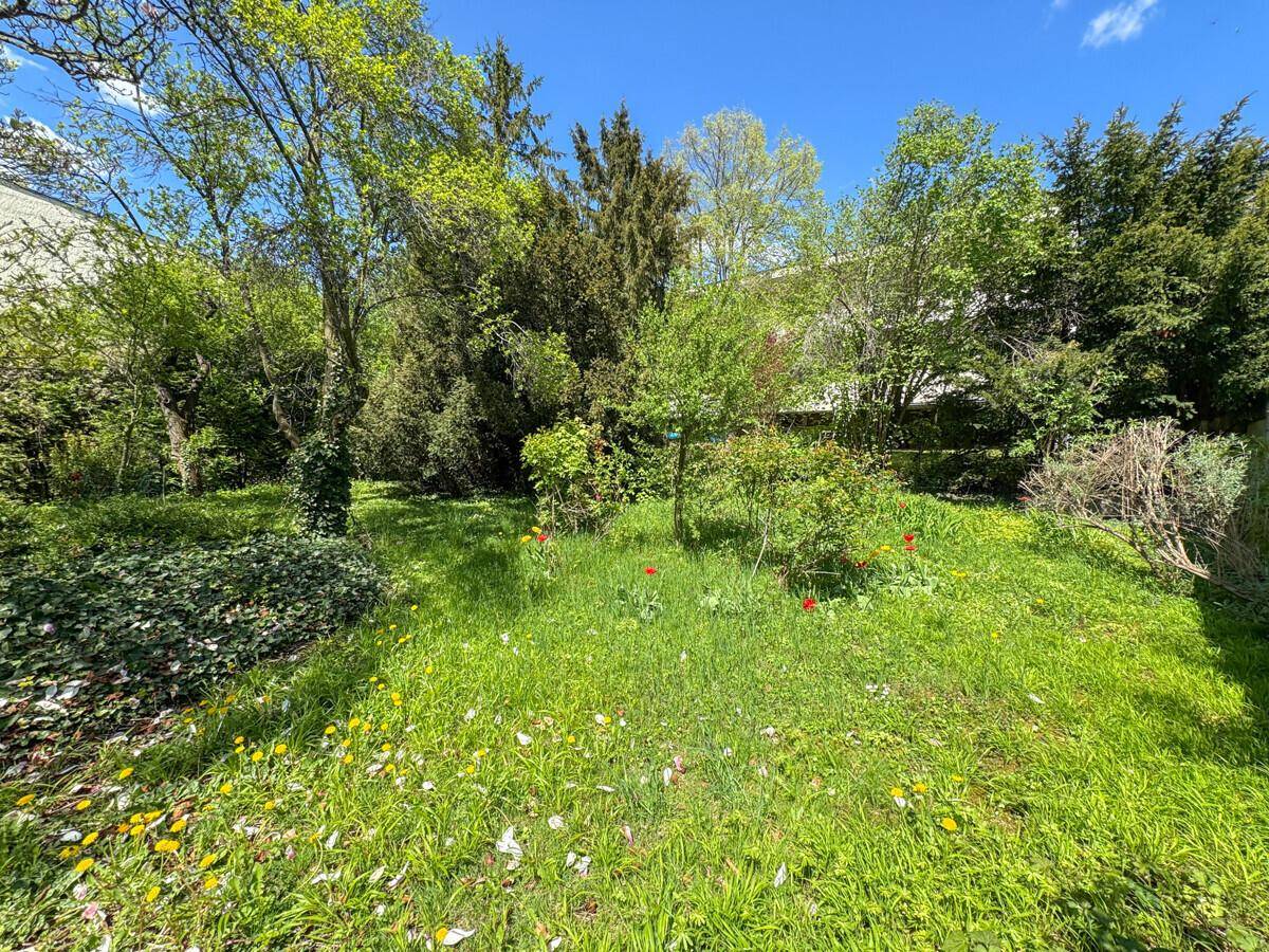 Weitläufiger Garten mit Rasen, verschiedenen Bäumen und einigen roten Blumen unter blauem Himmel.