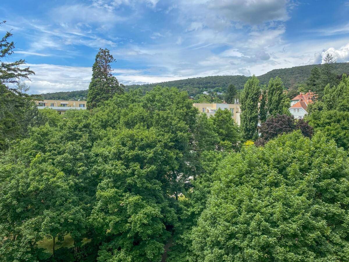 Weitläufiger Panoramablick über dichte grüne Baumkronen, Hügel und vereinzelte Gebäude in der Ferne.
