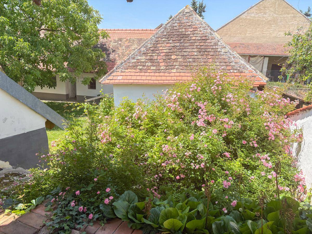 Üppiger Garten mit blühenden Rosenbüschen und traditionellen Dächern im Hintergrund.