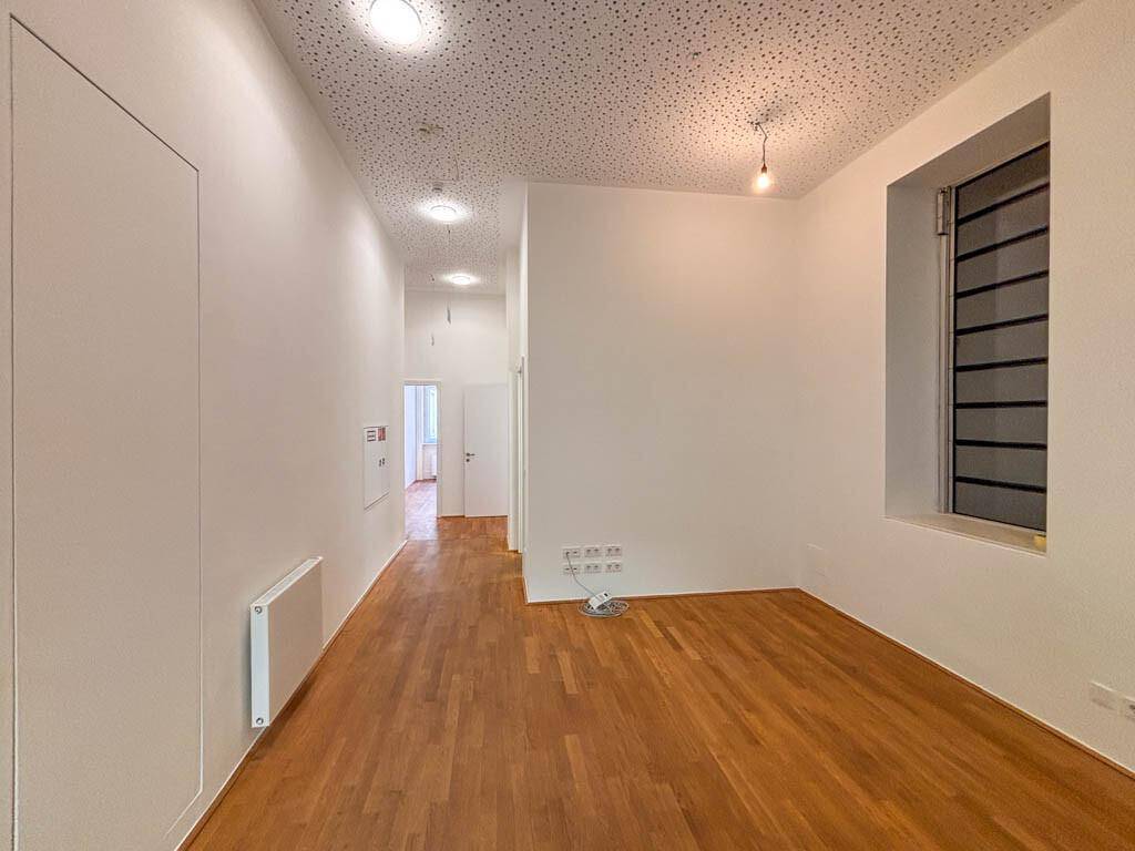 Repräsentatives Büro im prachtvollen Palais Schwab - Ansicht 6