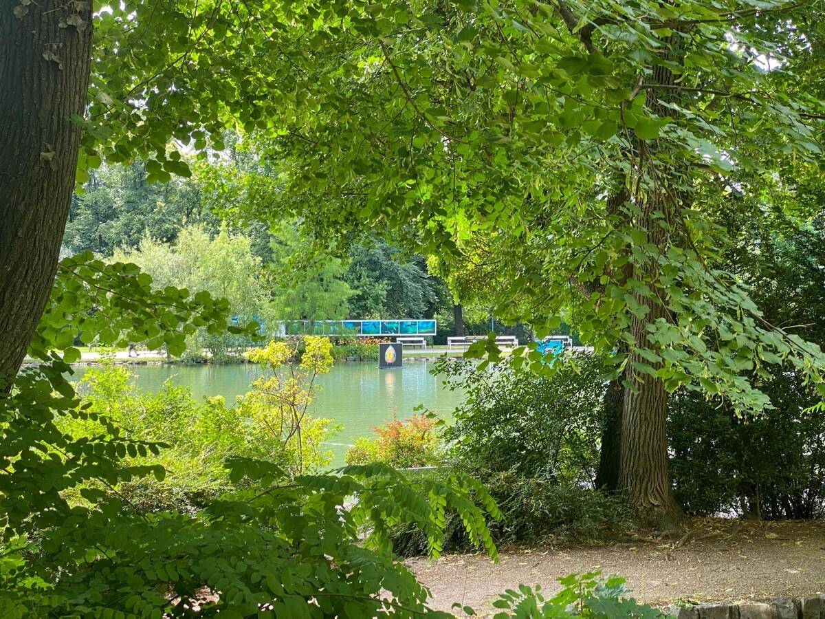 Blick auf den See durch dichtes Blattwerk, mit einer Brücke und weiteren Bäumen im Hintergrund.