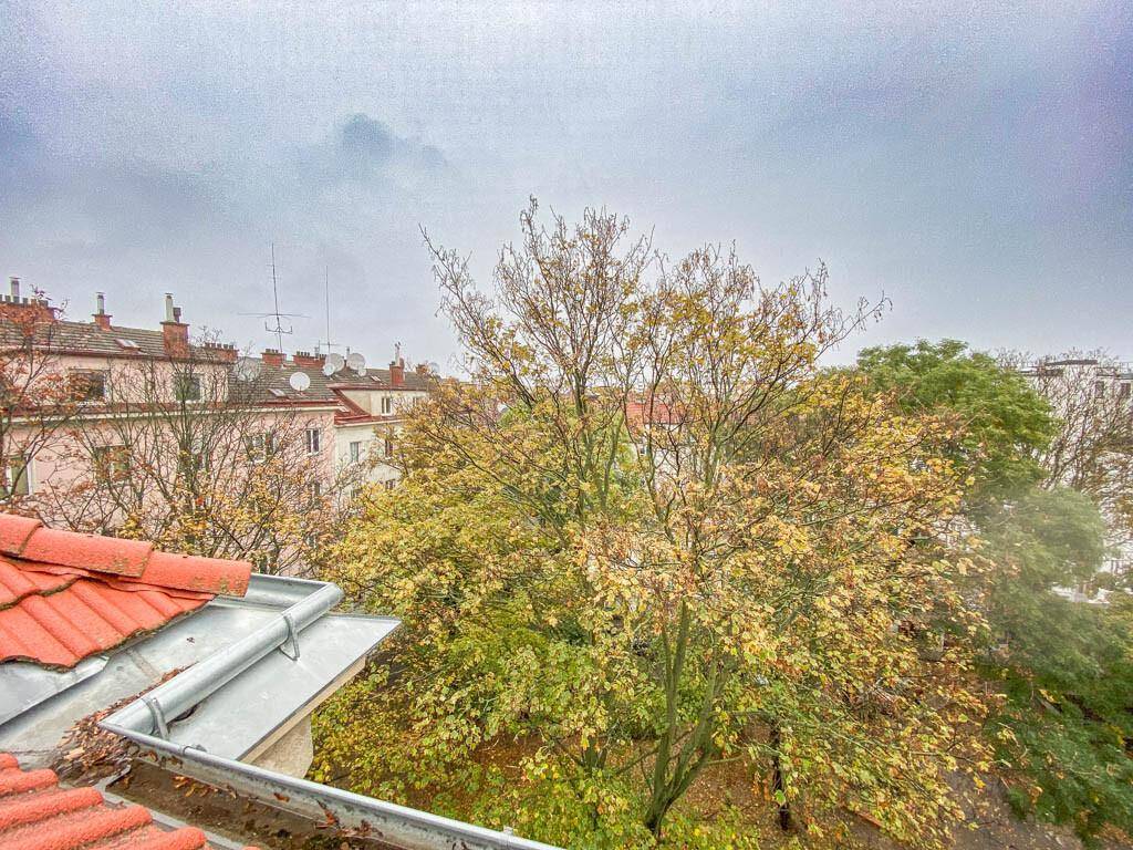 Aussicht auf herbstliche Bäume und die Dächer der umliegenden Gebäude in der Stadt.