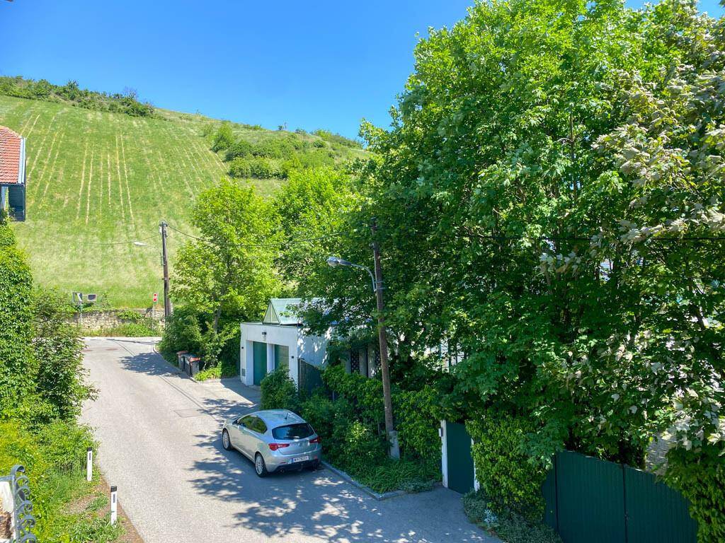 Ruhige Straße mit Bäumen und einem Weinberg im Hintergrund unter strahlend blauem Himmel.