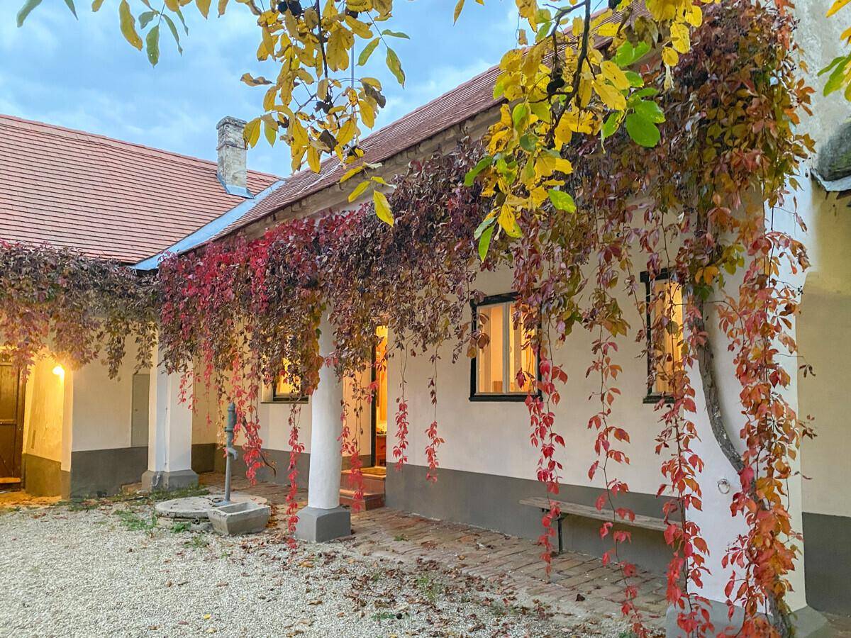Traditioneller Innenhof mit herbstlicher Weinrebenbegrünung und beleuchteten Fenstern am Abend.