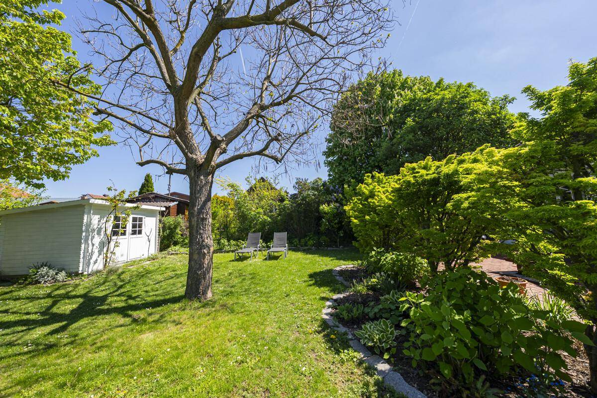 Gepflegter Garten mit Rasenfläche, altem Baum und einem kleinen weißen Gartenhaus im Hintergrund.